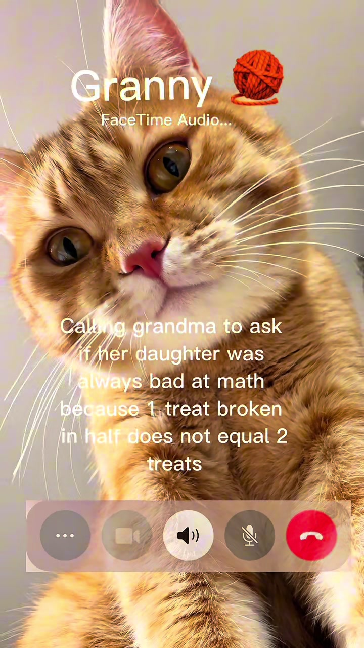 @Mitay_cat