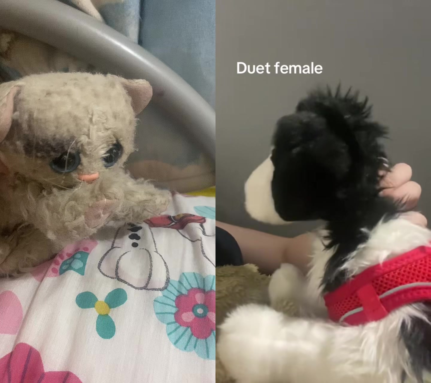 @Marla.woof woof