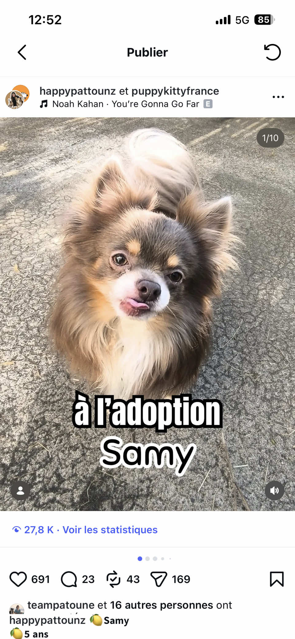 @Association Puppykittyfrance