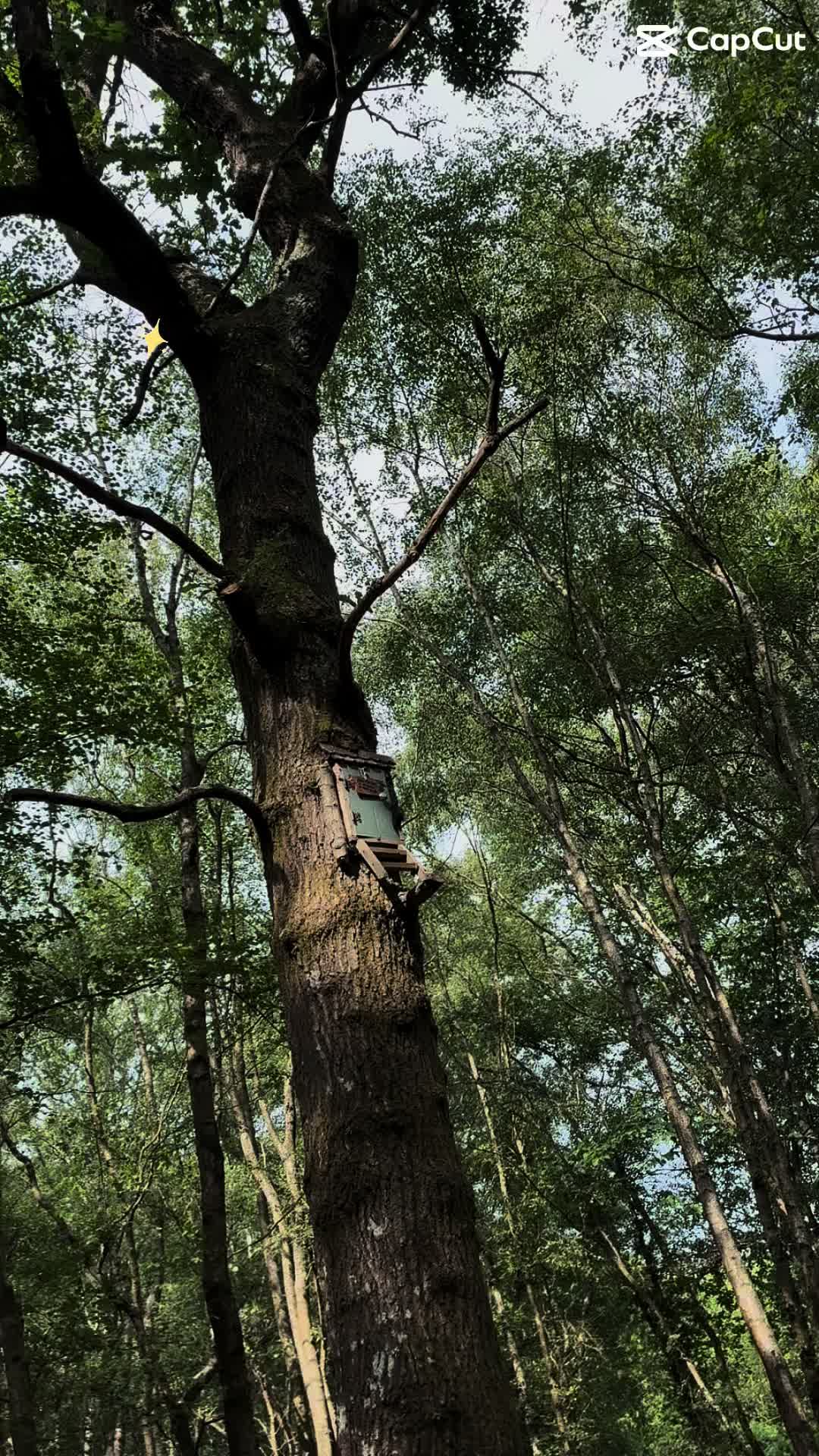 @chi789🧚🌞🌼🫶
