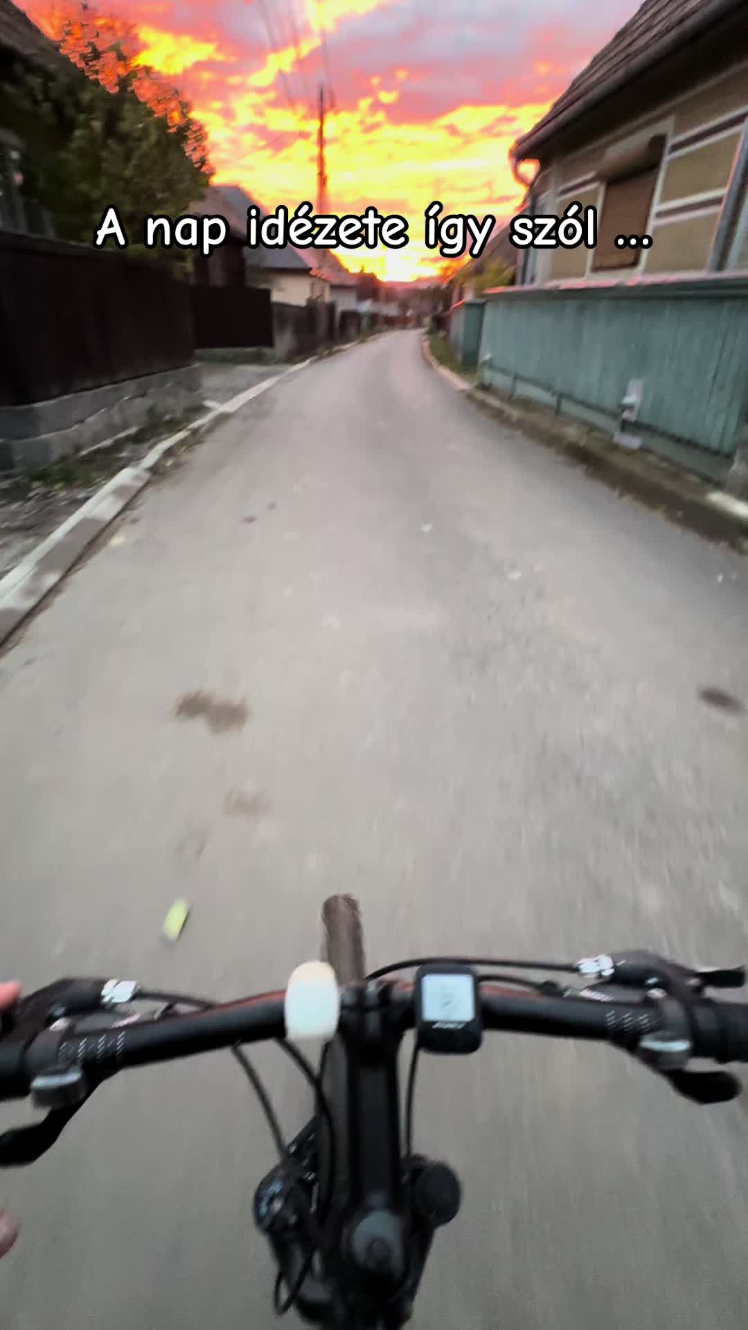 @nagynorbert945