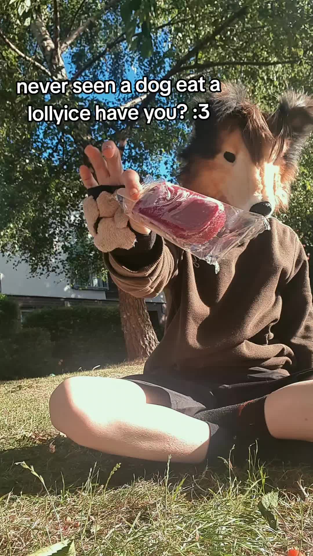 @🎸⭐☆𝐏&upsilon;&rho;&rho;у-ᖴᗩᑎG☆🦴🐾