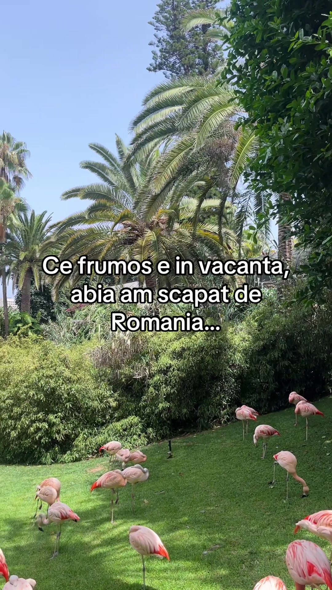 @Sebastian