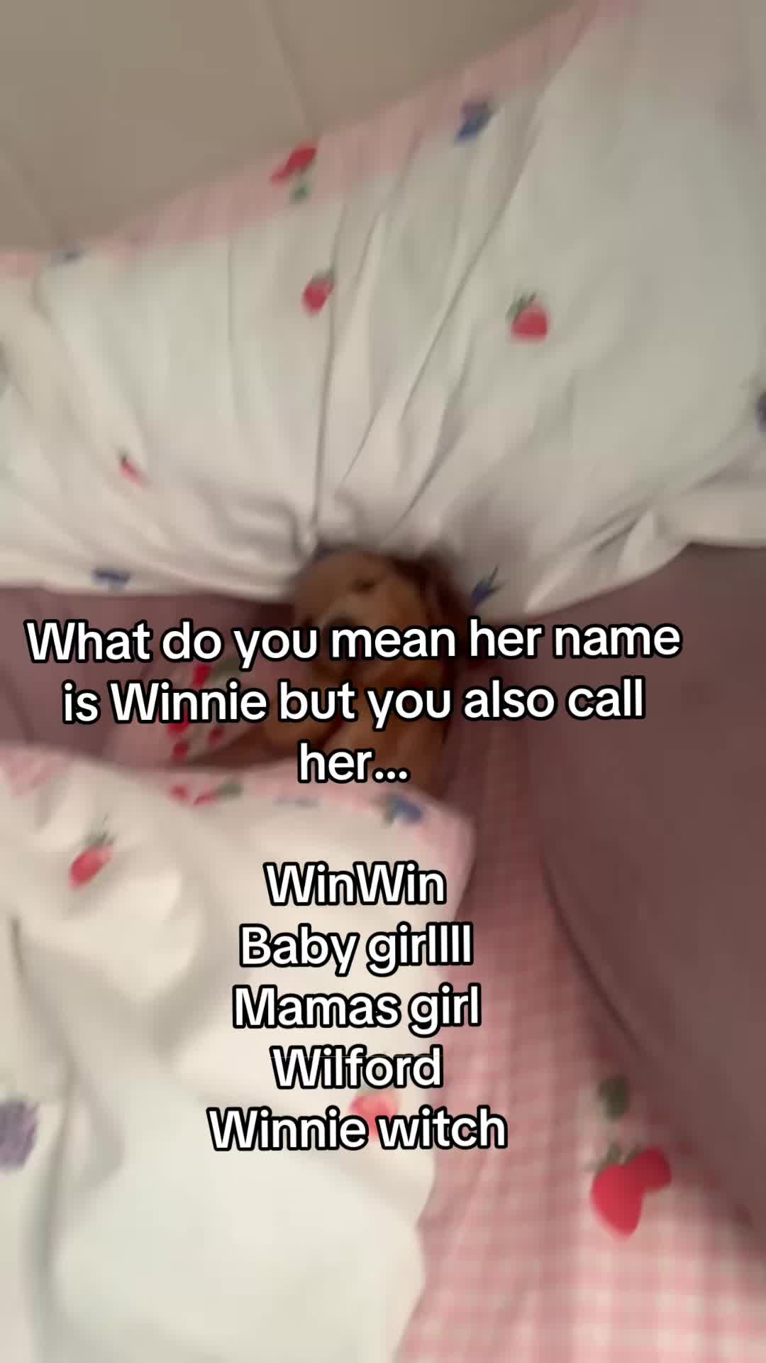@Carrie woods