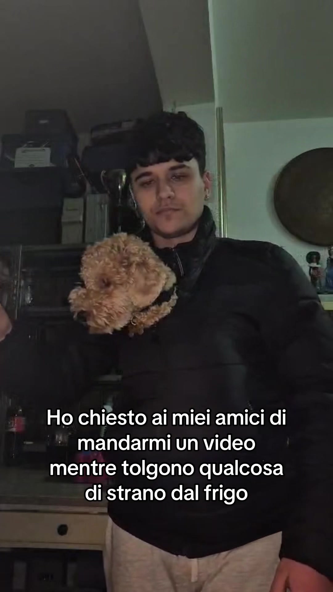 @miozzo
