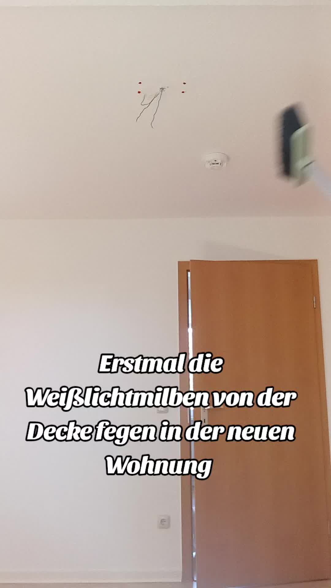 @Tiny