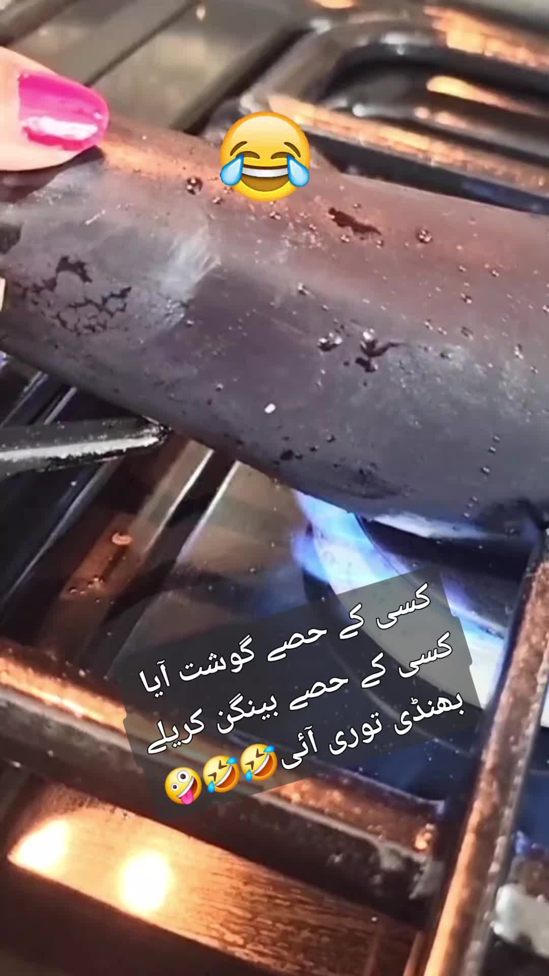 @Zubi🙋♀️زوبی