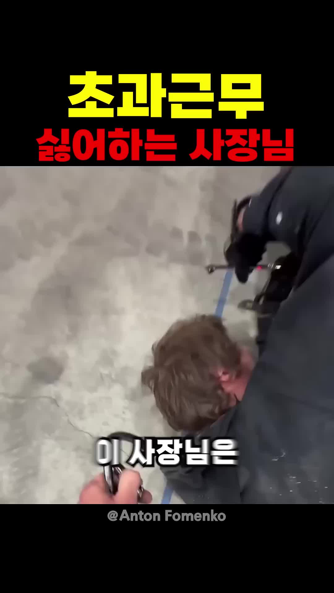 @짱아까미