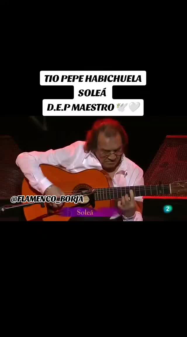 @🎸FLAMENCO-BORJA🎸