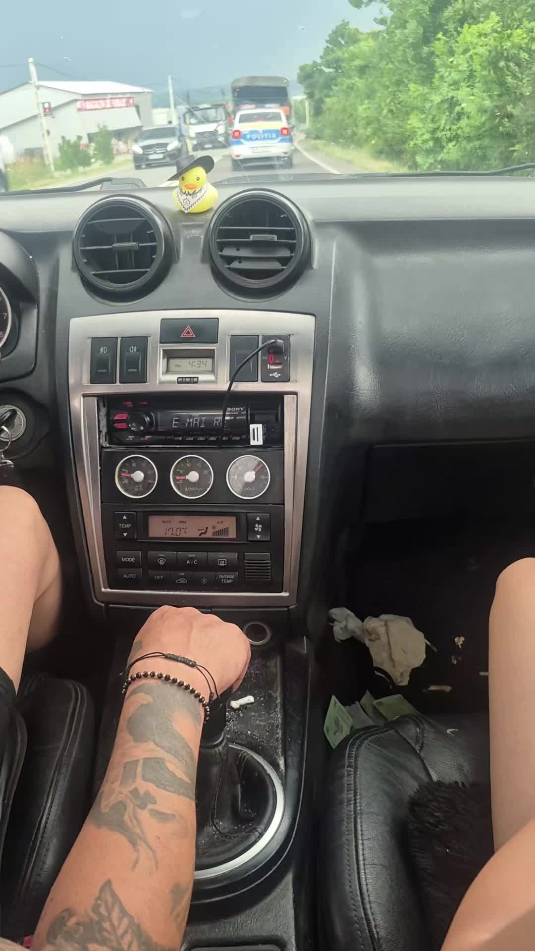 @NikoDVL