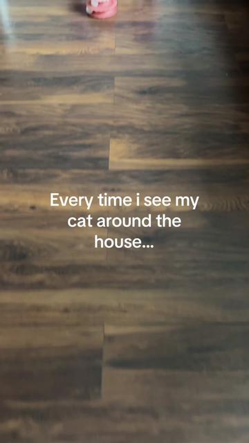 @Claws & Paws Parcels