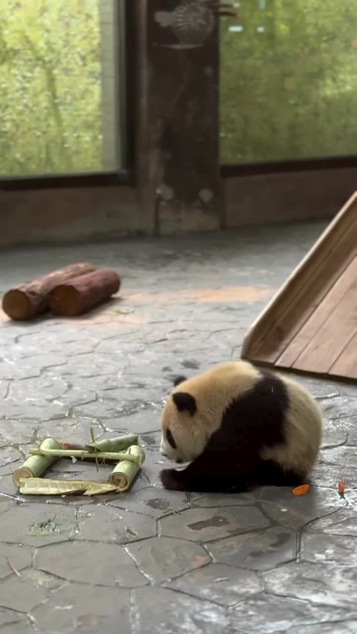 @pandy_pandaa