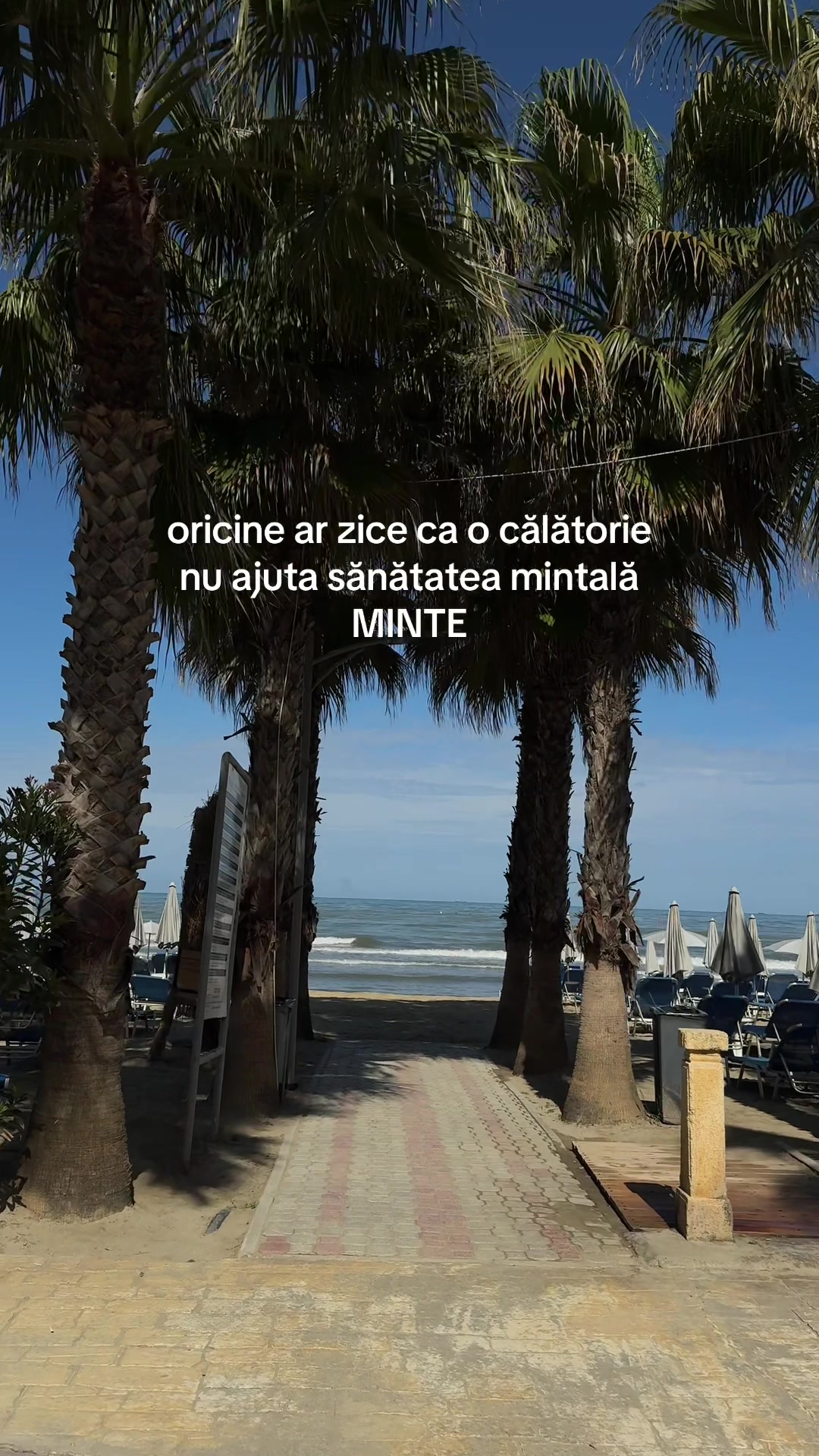 @robertaroata