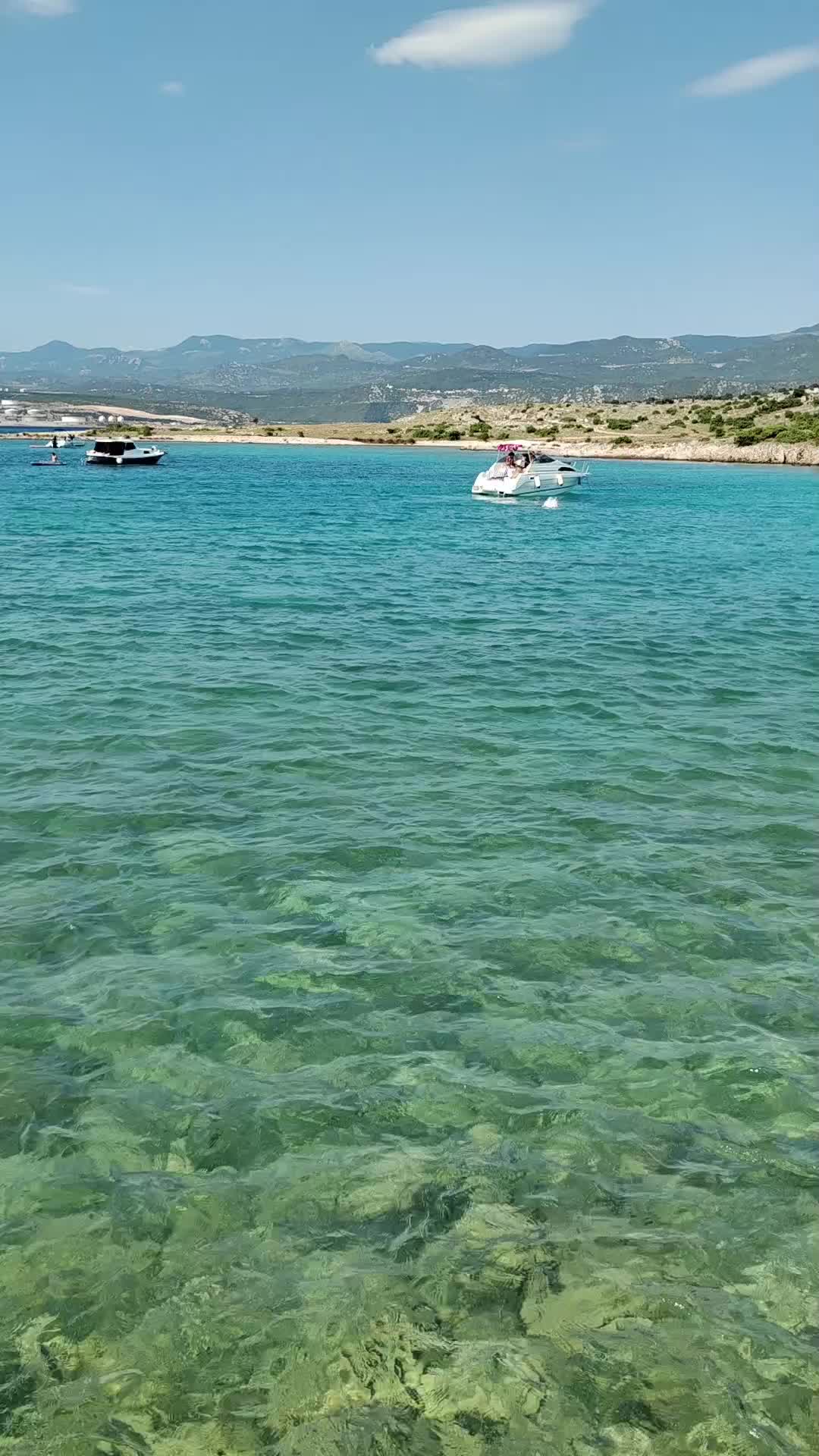 @Marina Grus