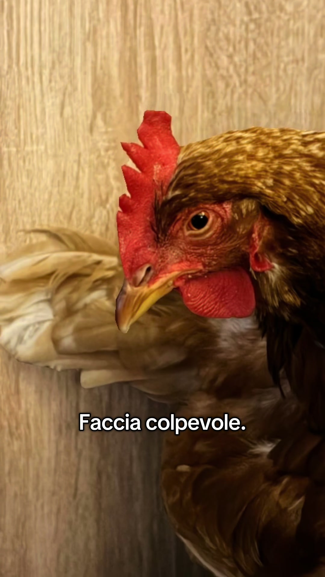 @Eleonora B.