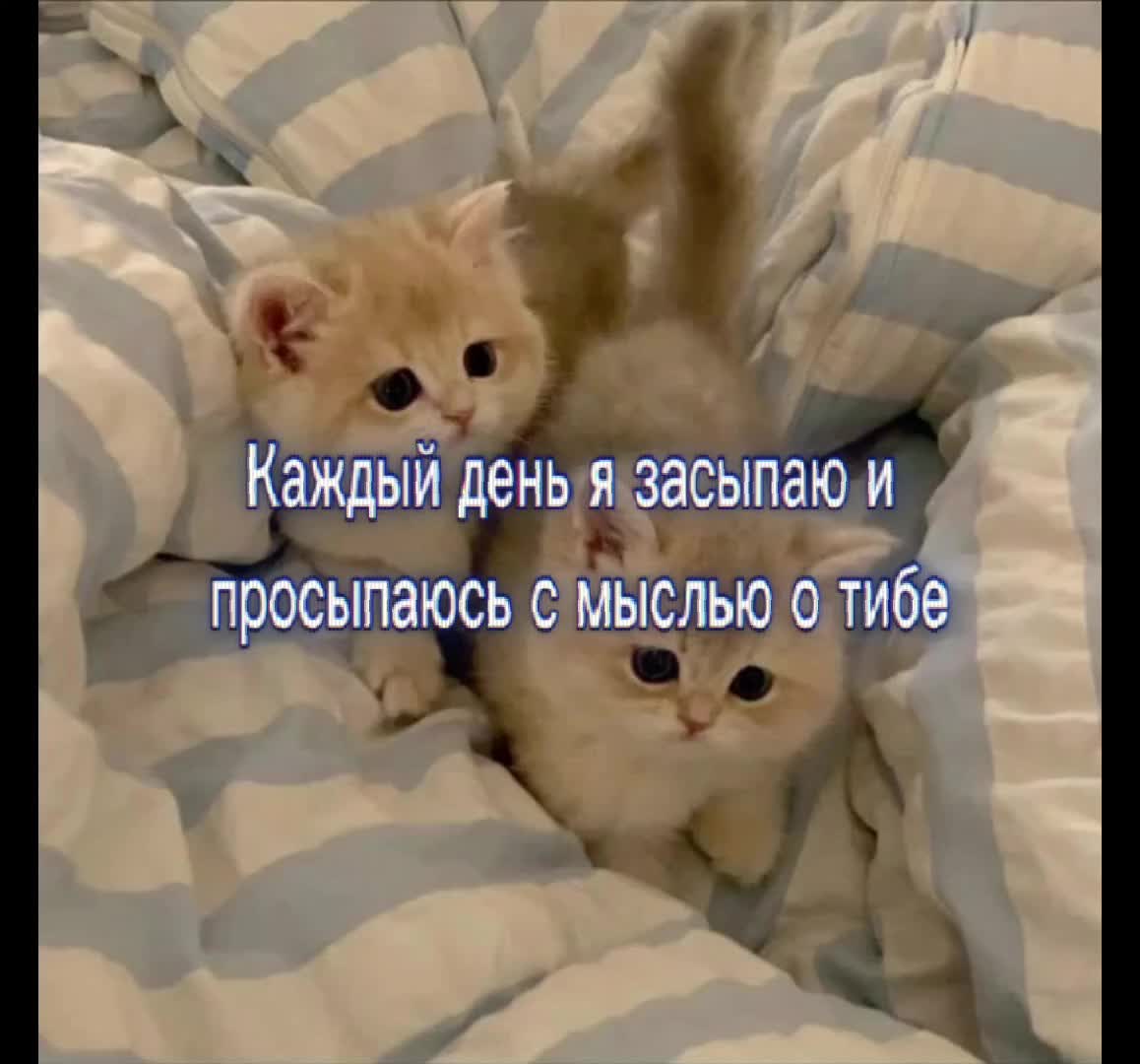 @Я люблю Машулю