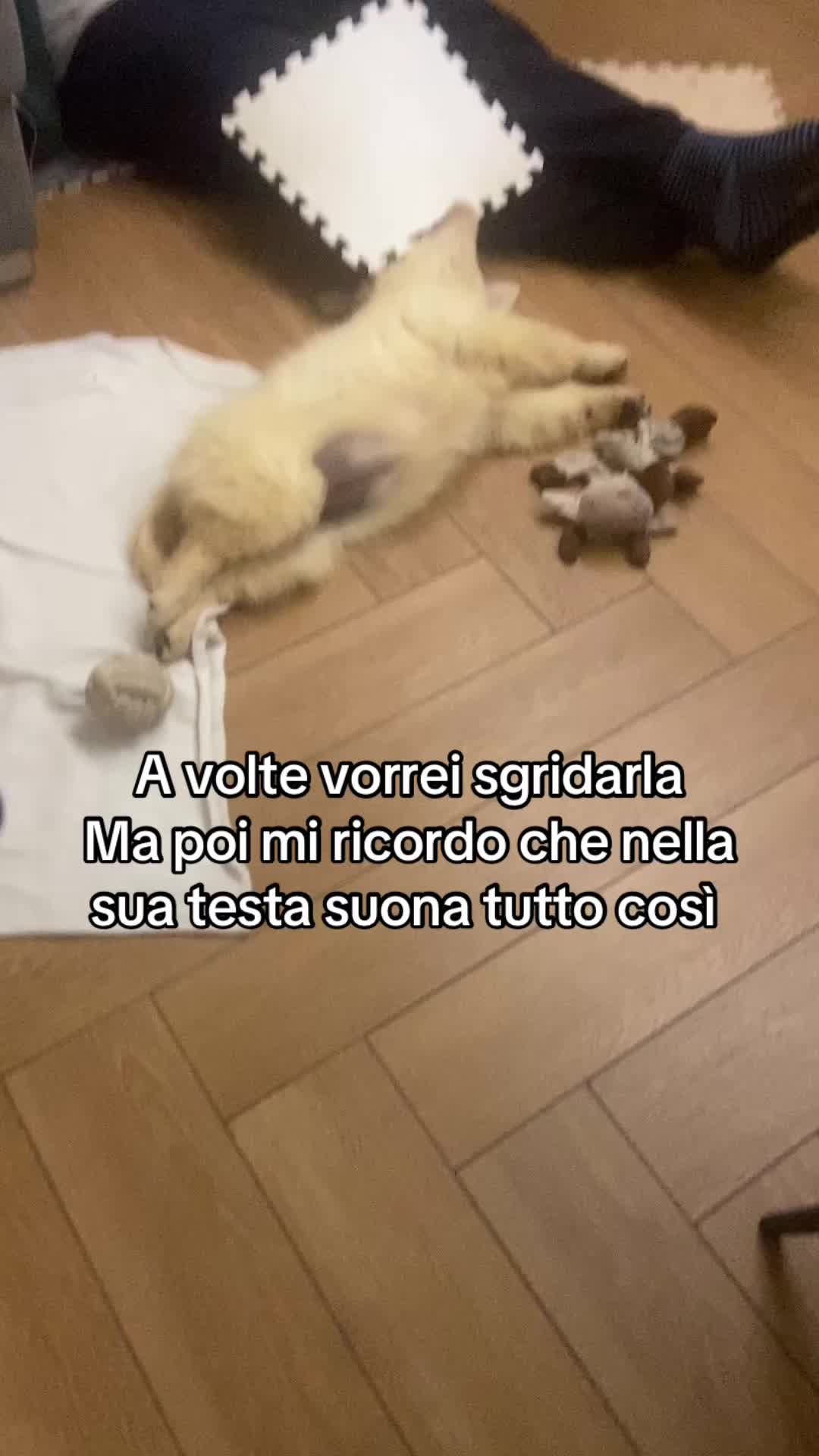 @Raffaella Vurro