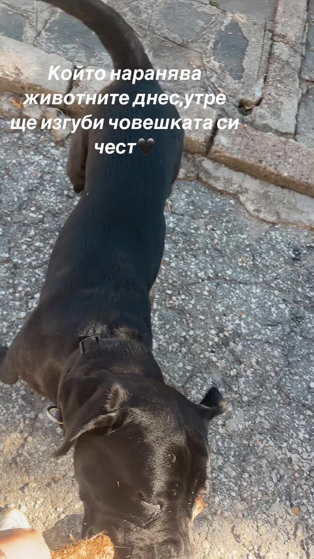 @MD