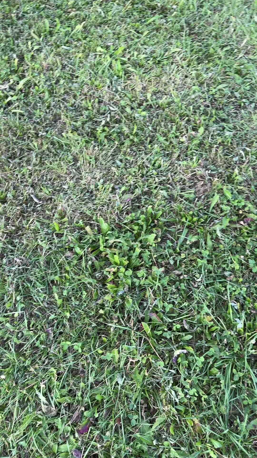@adrian.1291