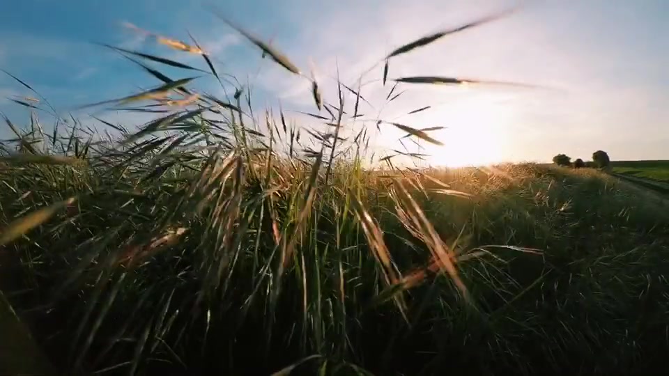 @Michal Botansky
