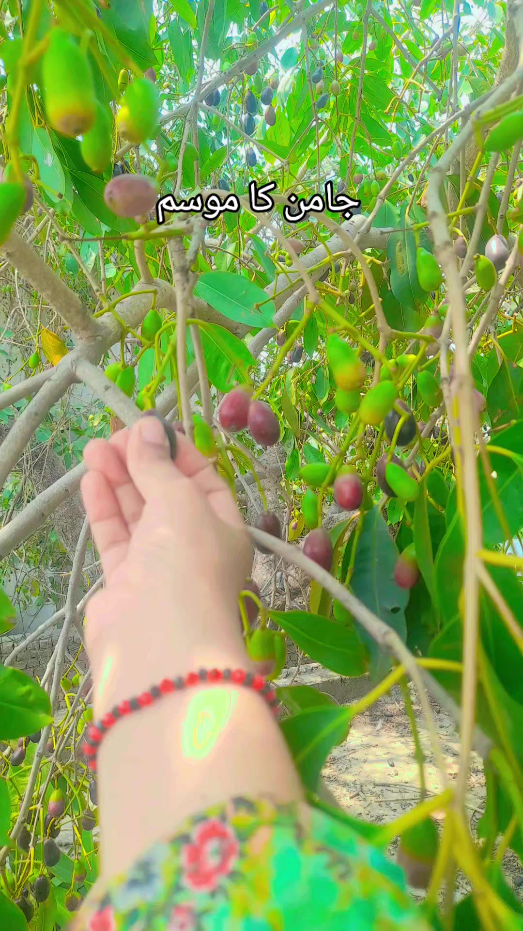 @anmolpunchi47