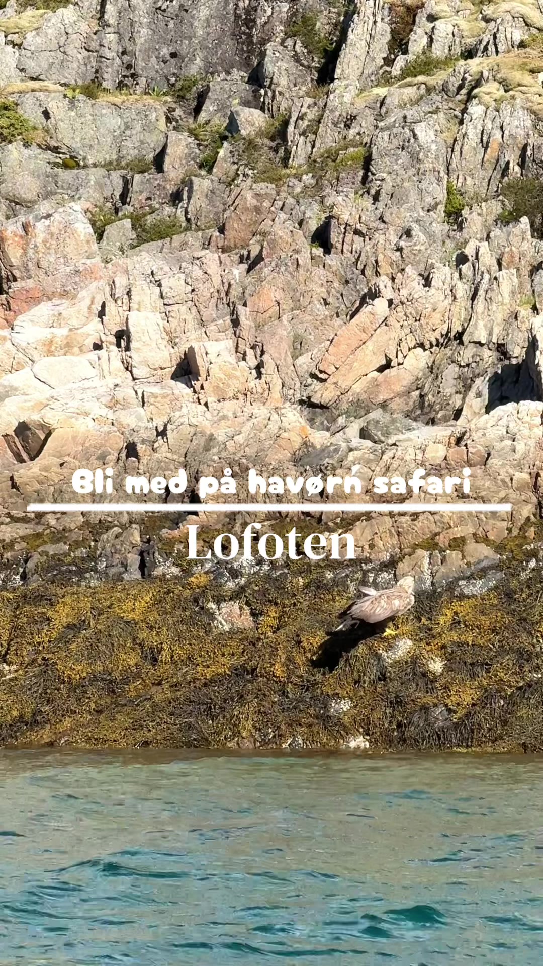 @siljefredsvikl