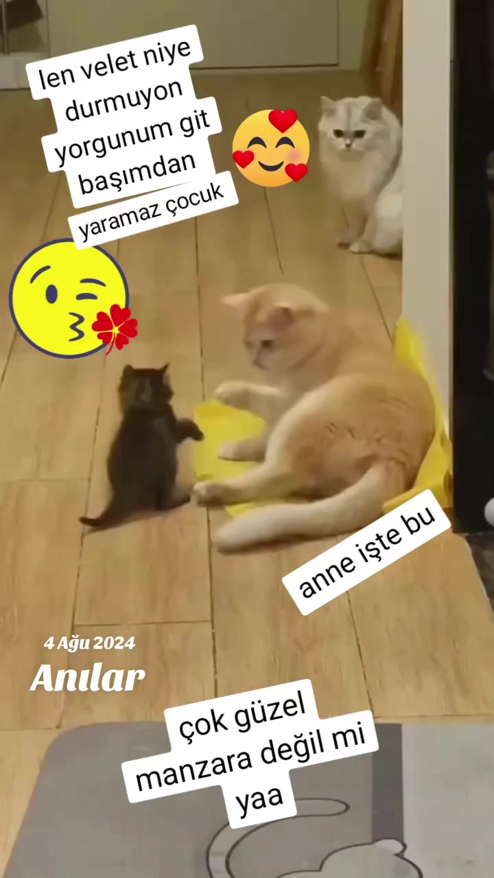 @gamzeli kızı 😊 minnoşlari