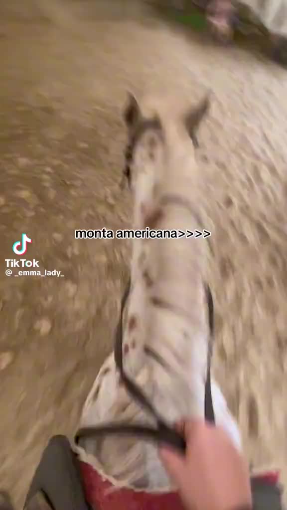 @๐๐๐๐๐๐๐๐.๐ฅ๐ ๐๐๐
