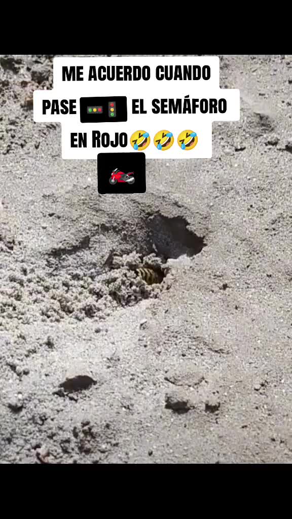 @🇳🇮🛡️flakito⚔️🇪🇸#1