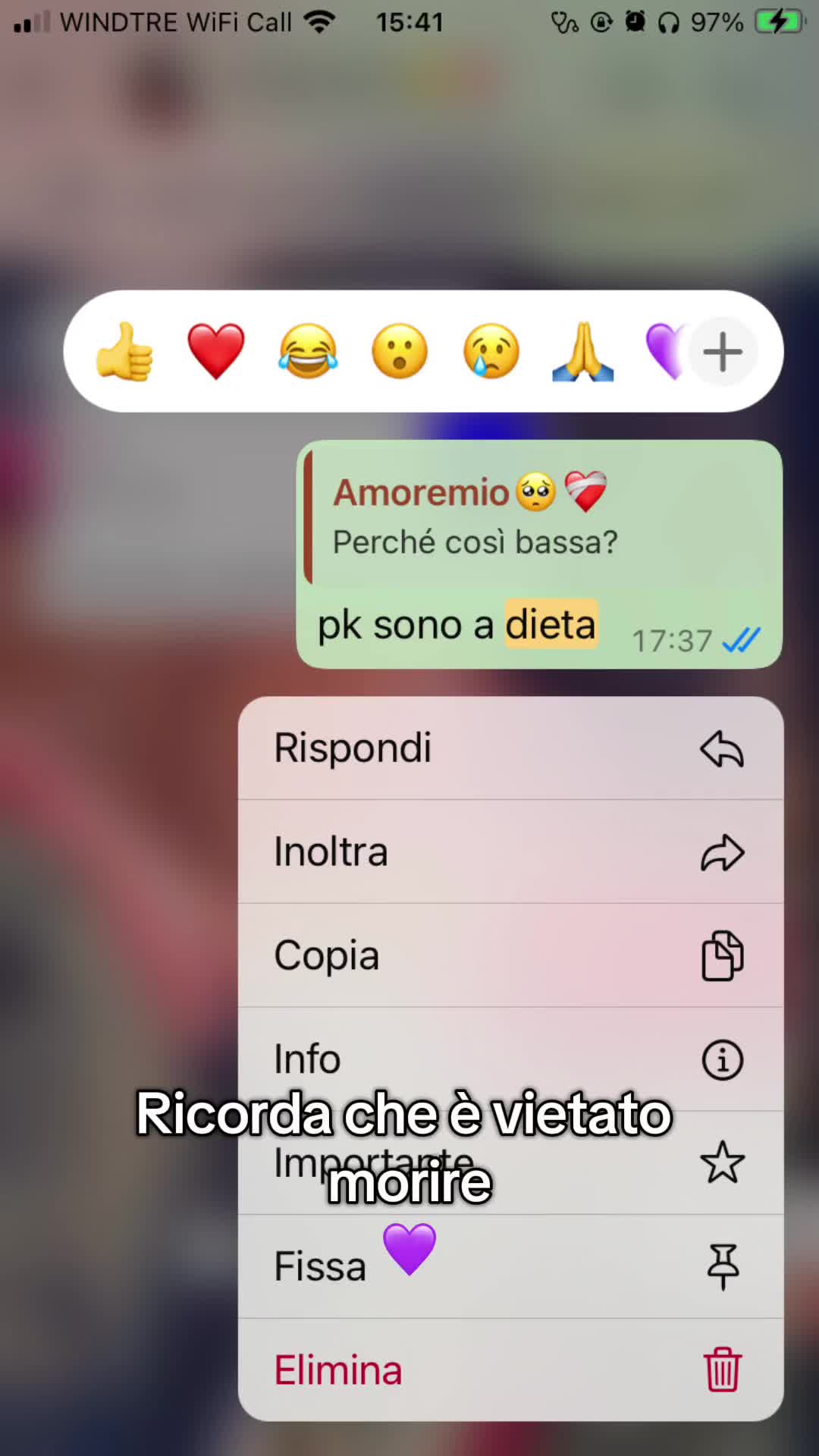 @Ginevry🩷
