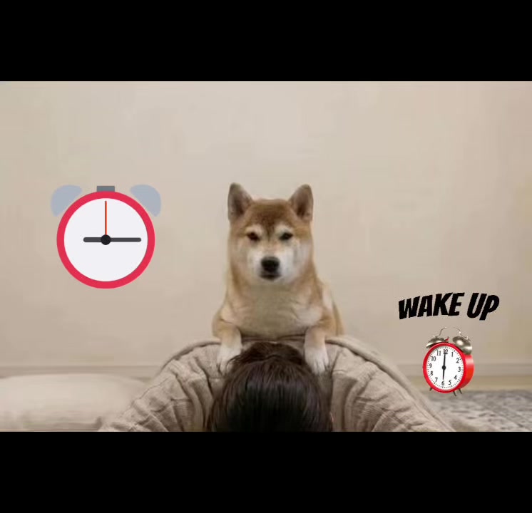 @ron_shiba