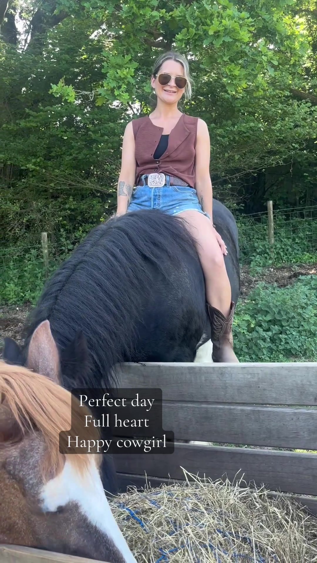 @The Novice Rider