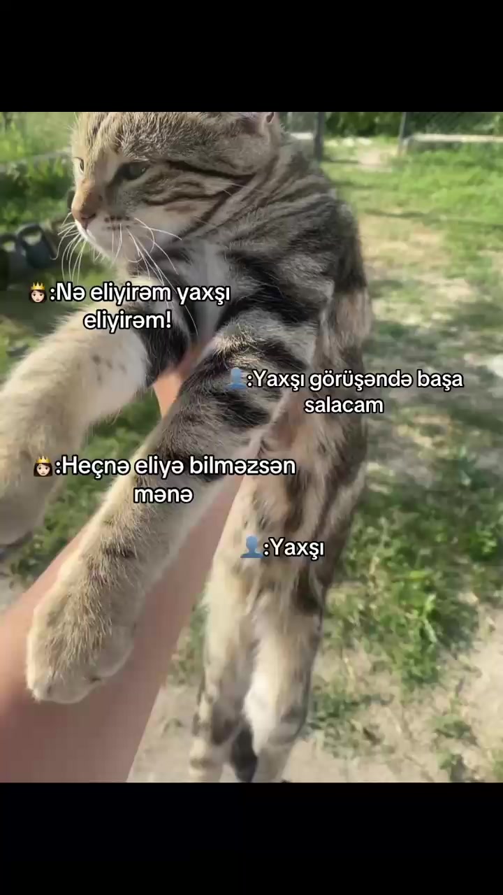 @moniṣṣ🐣