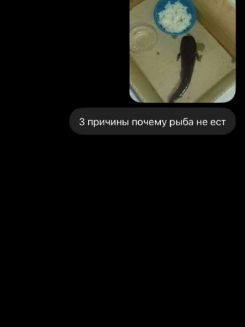 @Переписки и ответы