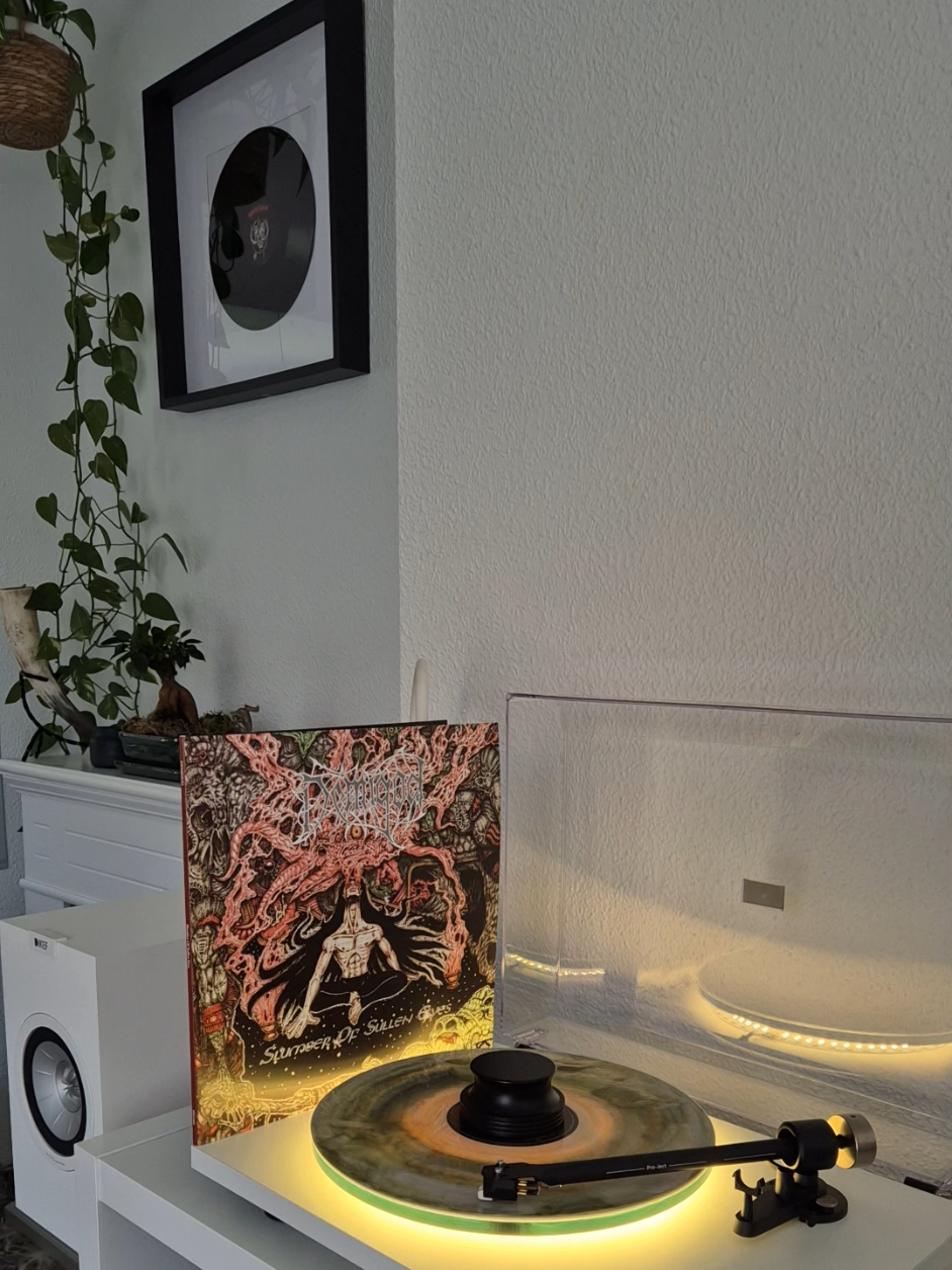 @r.vinylcollector