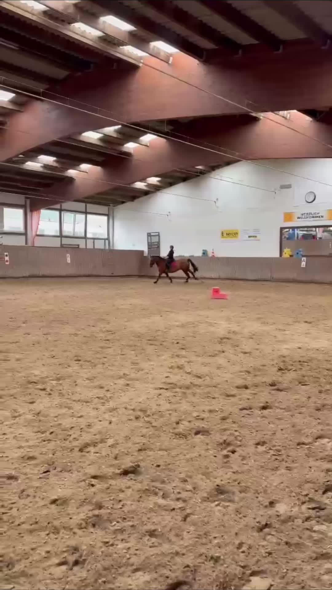 @🐎