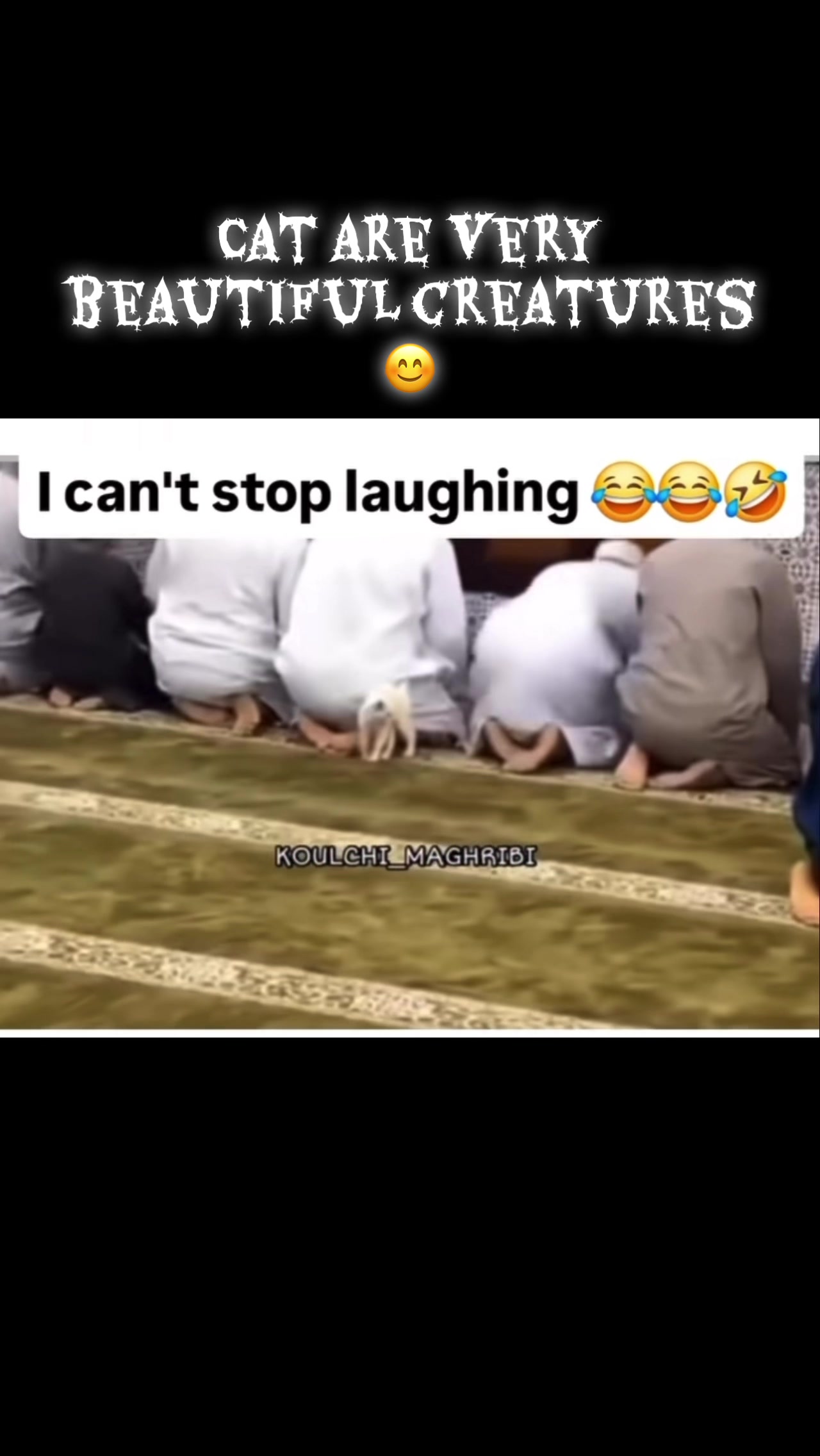 @Islamic&ensp;World&ensp;🌎