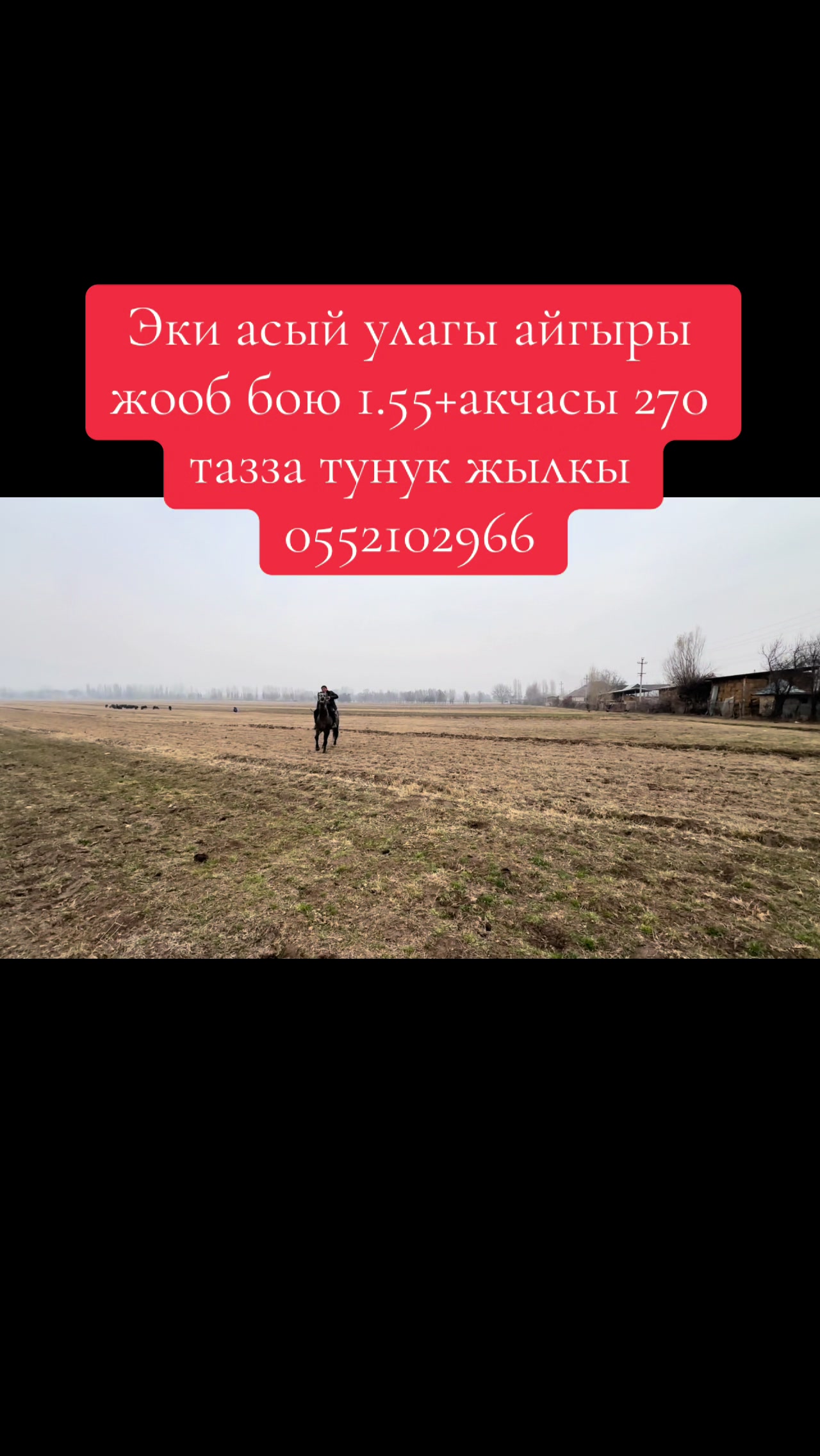 @Oskonbai Tajibaev