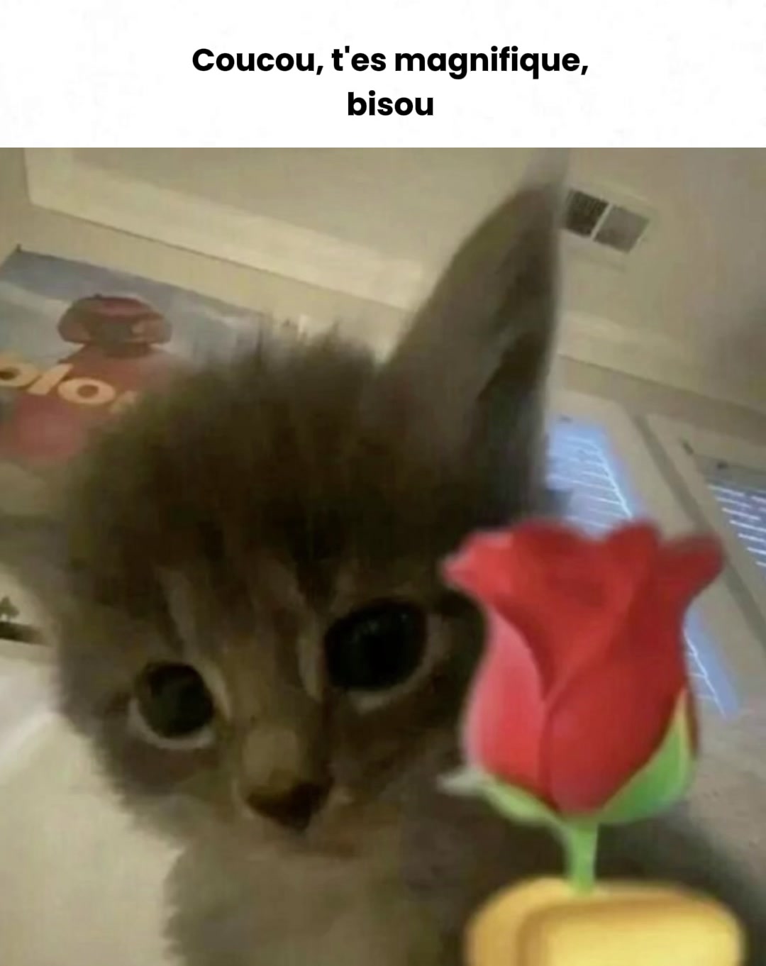 @✯