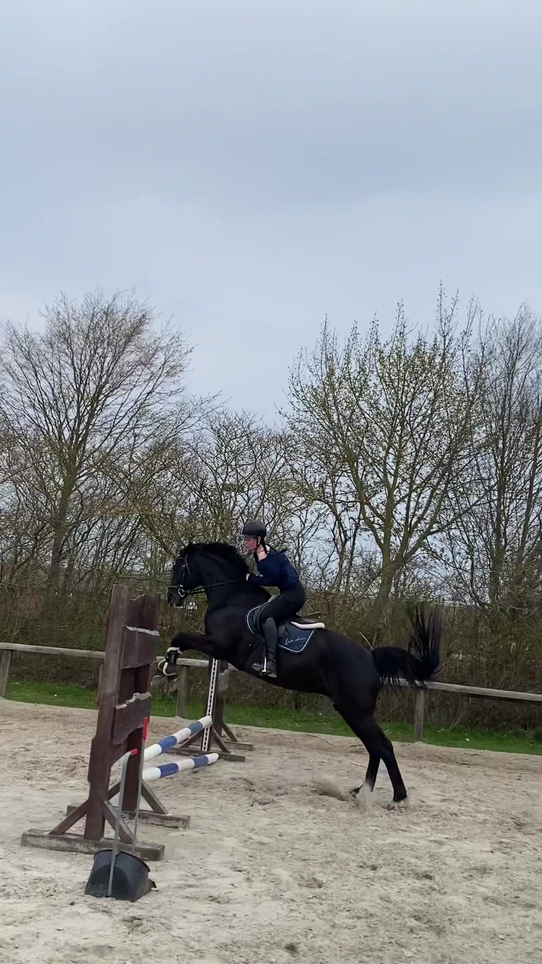 @porschepony.bibi