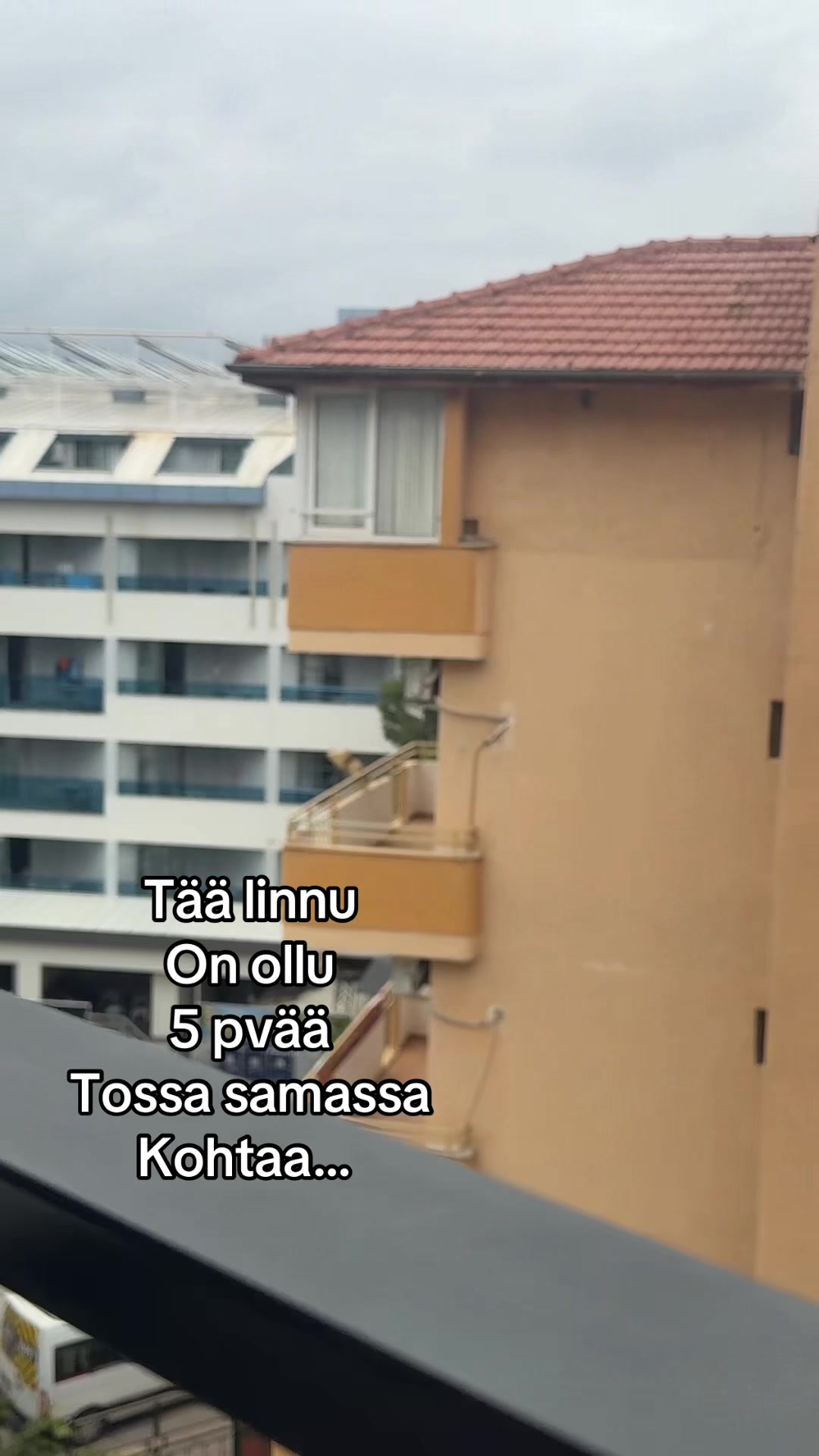 @Salla Armia