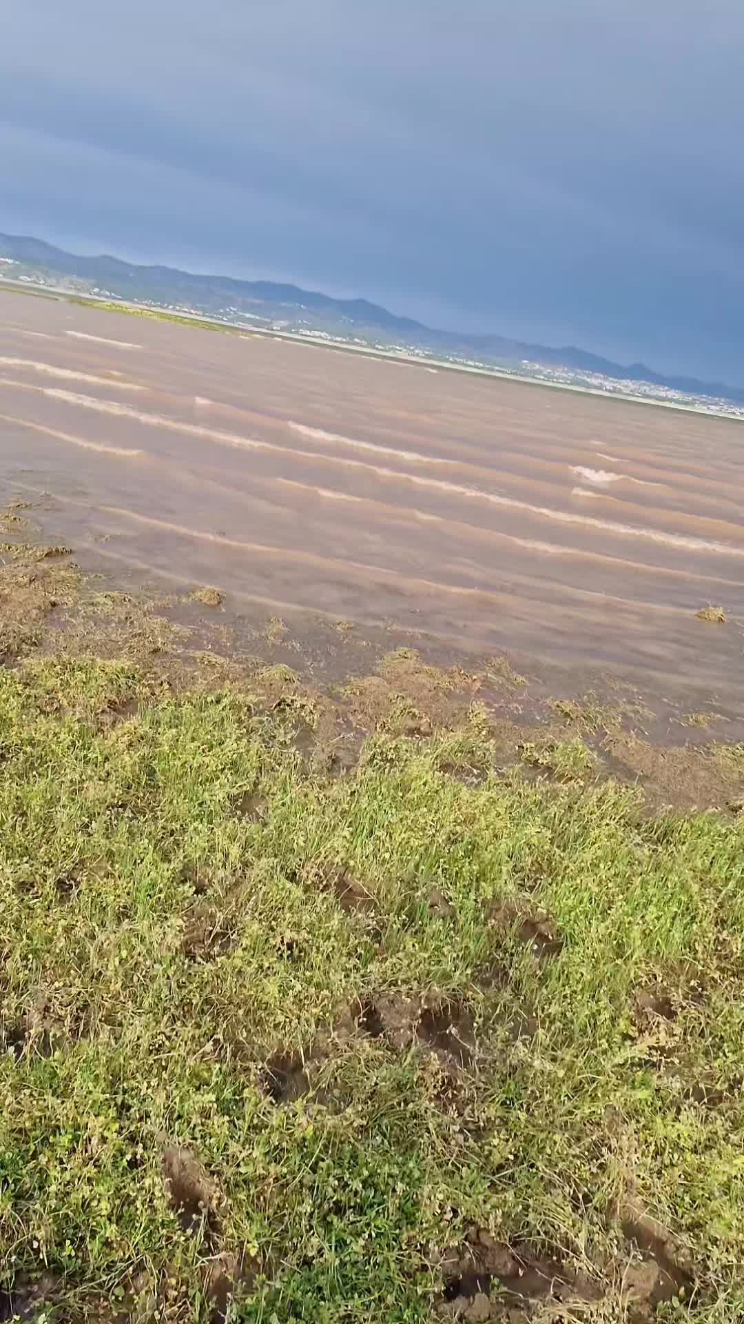 @❦︎༄🦋🅐︎ Ⓚ︎🅗︎Ⓐ︎🅝︎🦋࿐