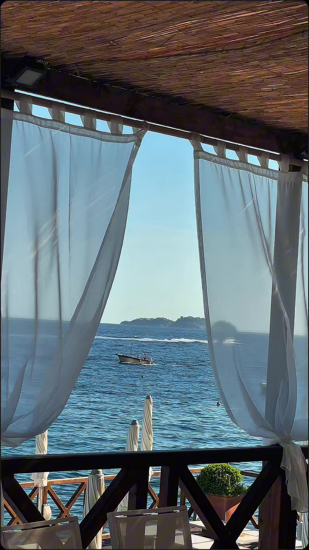 @leagavipositano