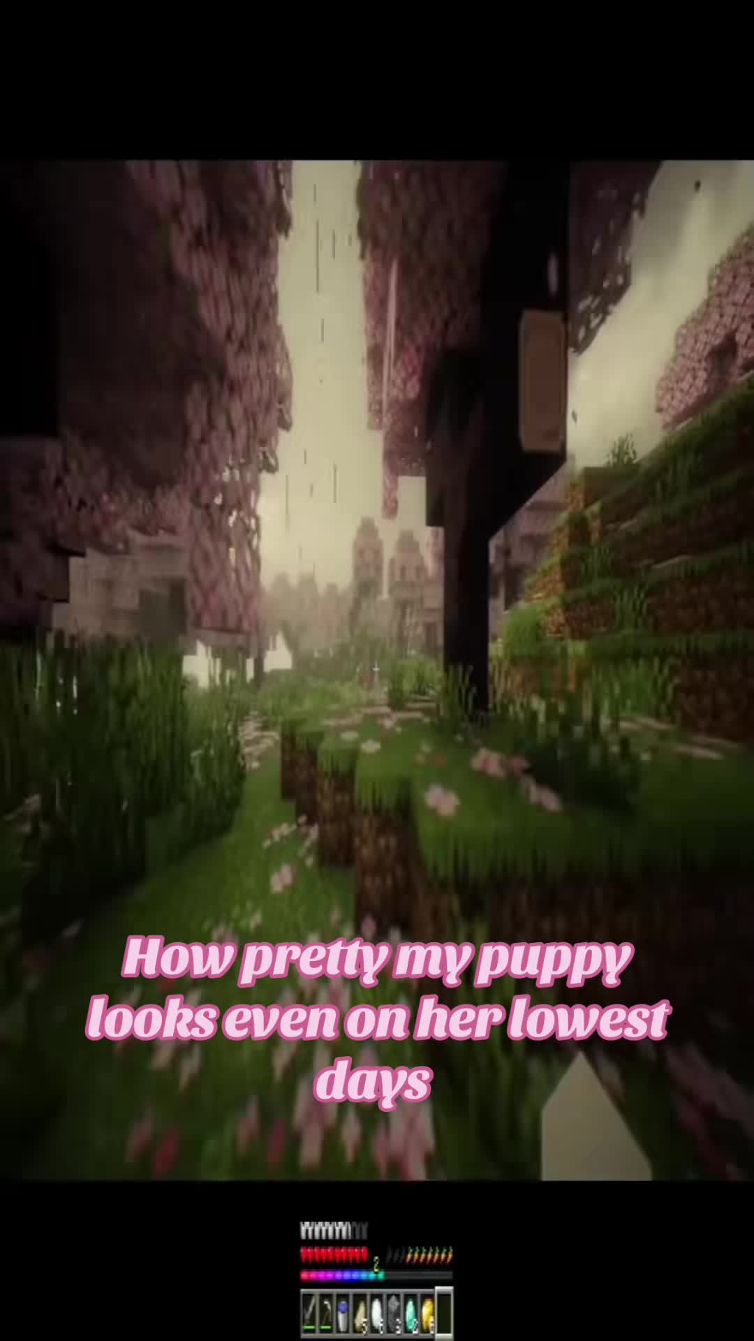 @_xxvzvxx_