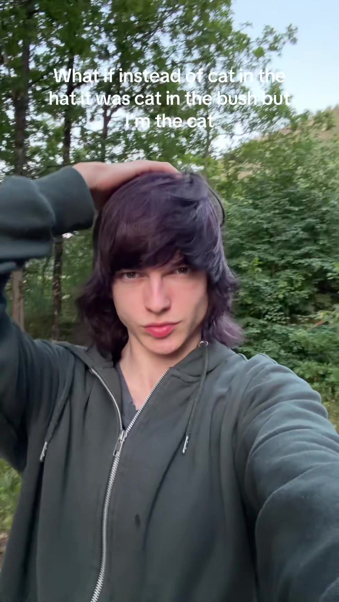 @bushvoid