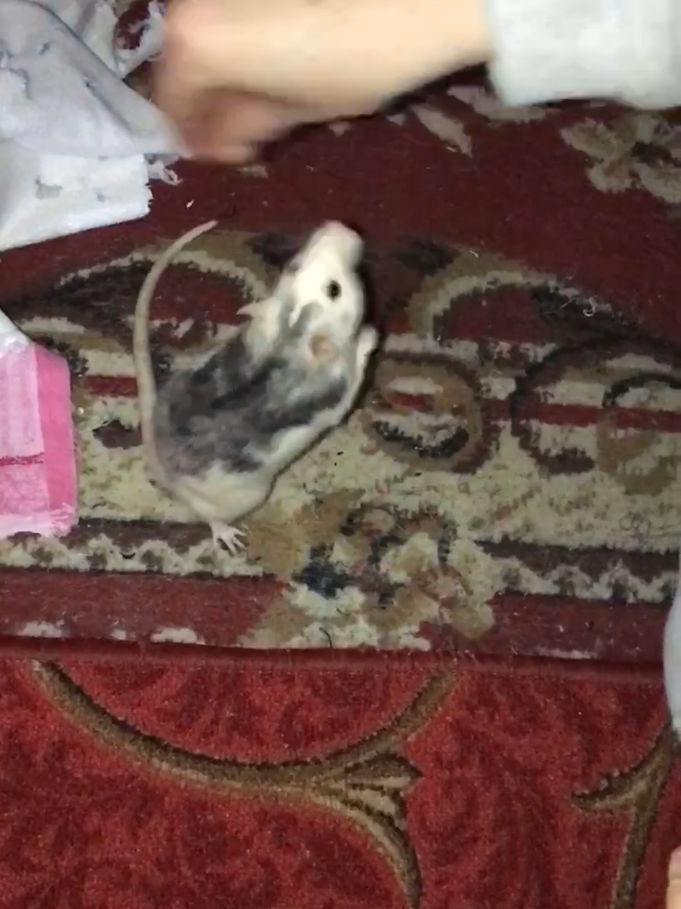 @❤😄