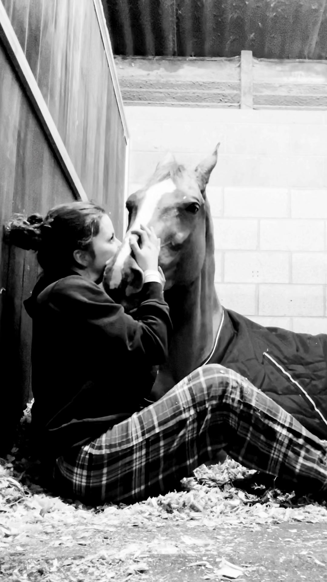 @Joss 🇬🇧🐴