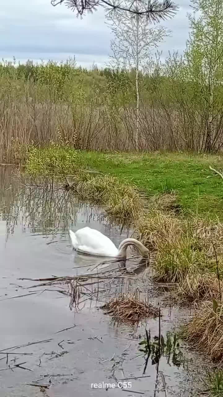 @Юльчик_937 🌊