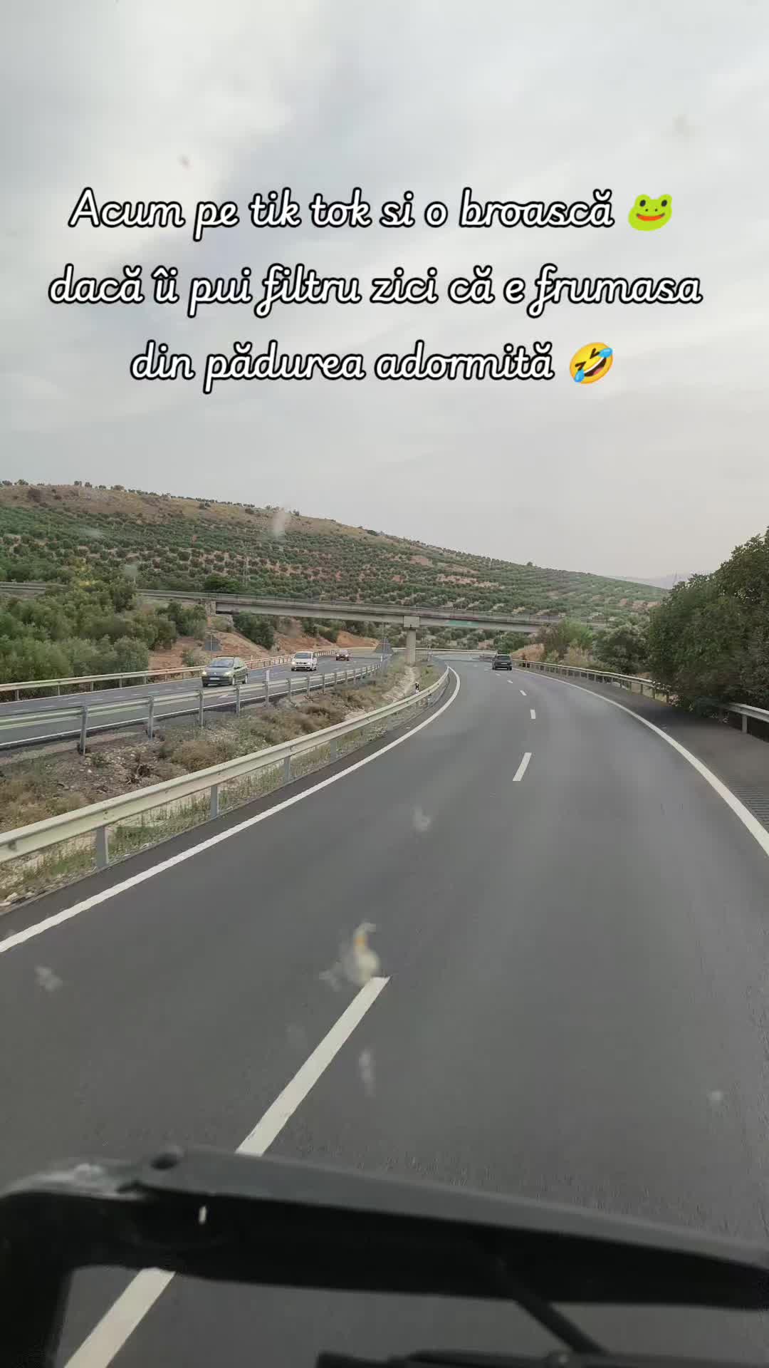 @Lidia Nan