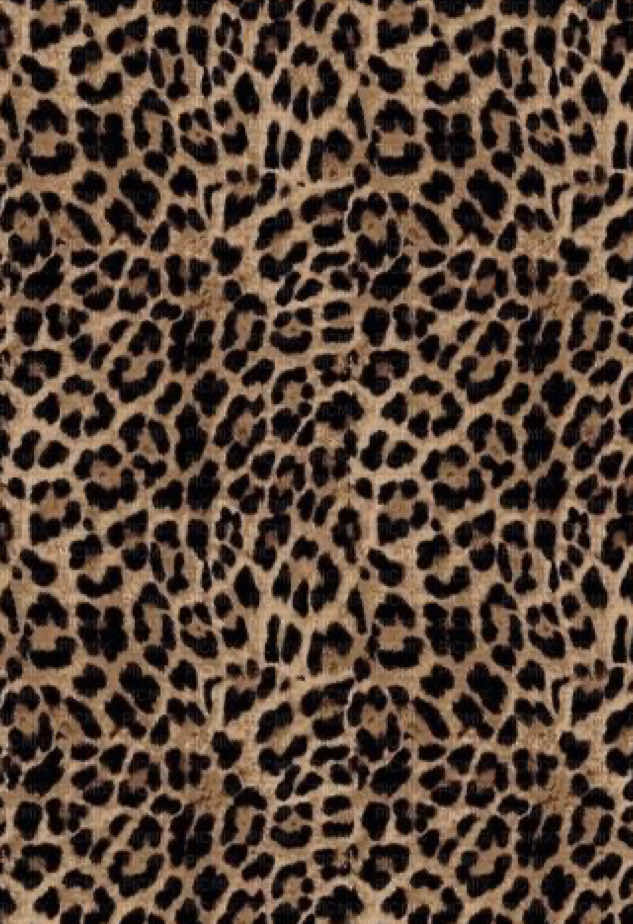 @💗࡛ an̄iya̱h⊹ 🐆